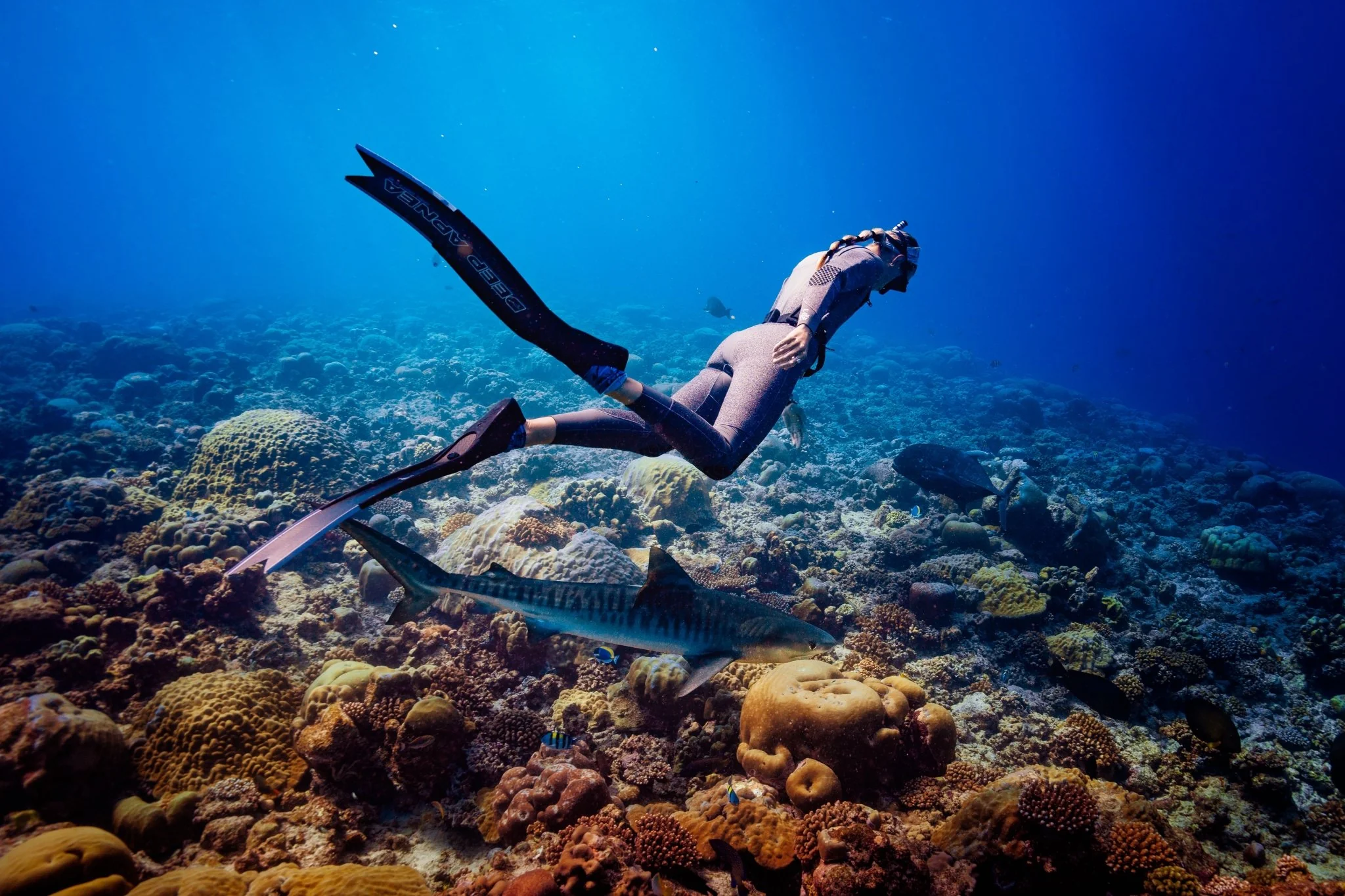 5mm CORE Back Zip Wetsuit | Shark Stop - Image 6