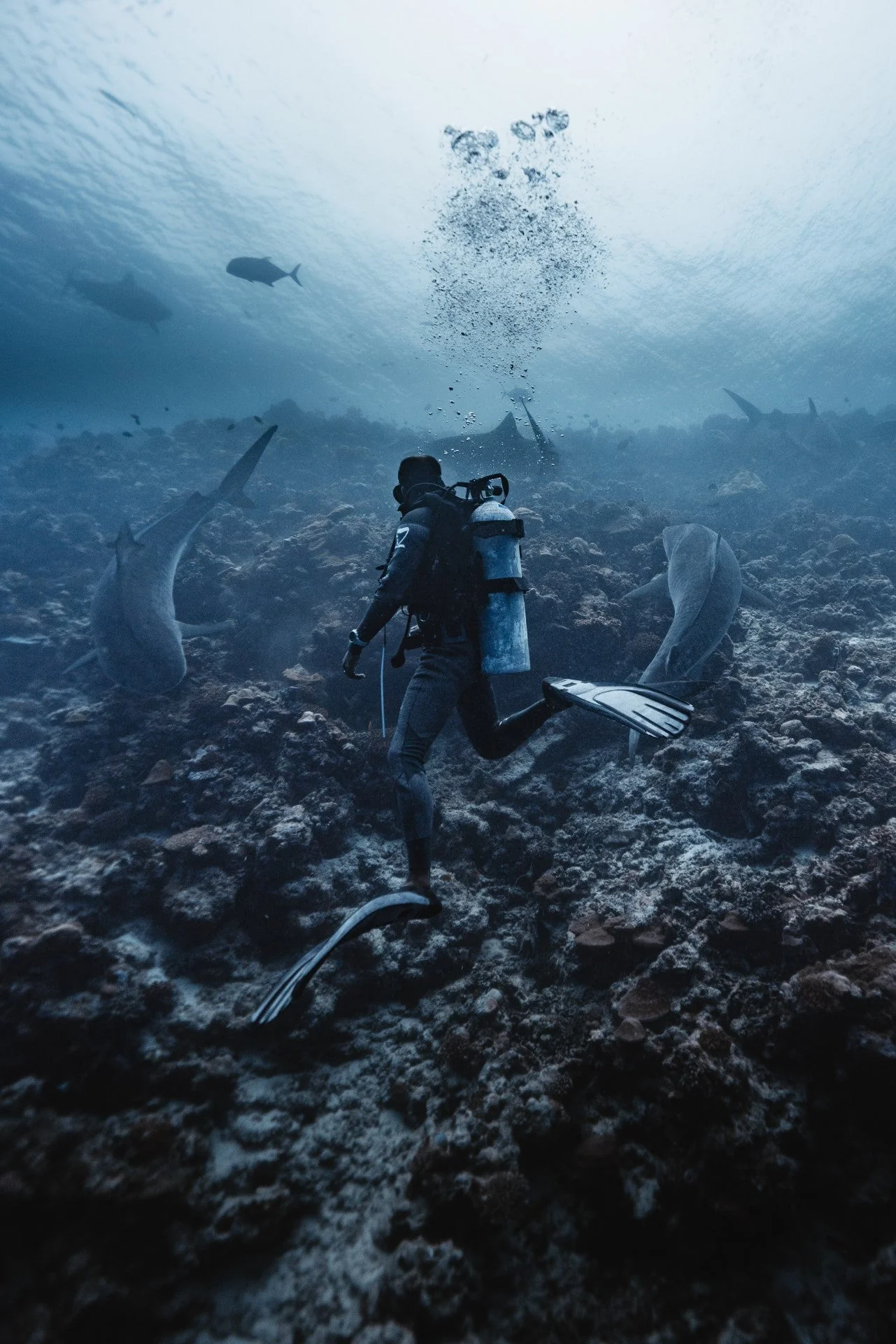 5mm CORE Back Zip Wetsuit | Shark Stop - Image 7