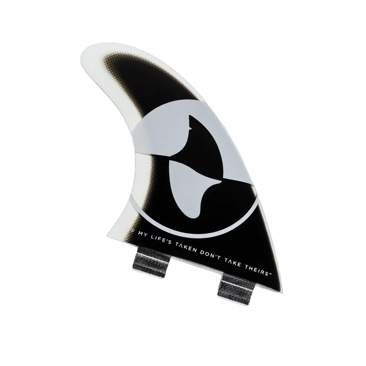 Fin for a Fin – Shark Conservation Surfboard Fin - Image 5