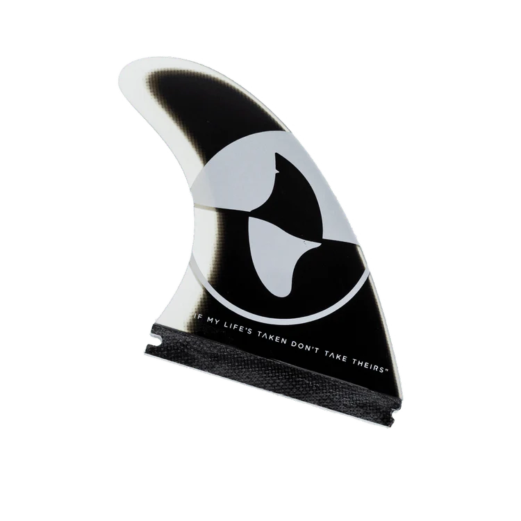 Fin for a Fin – Shark Conservation Surfboard Fin - Image 6