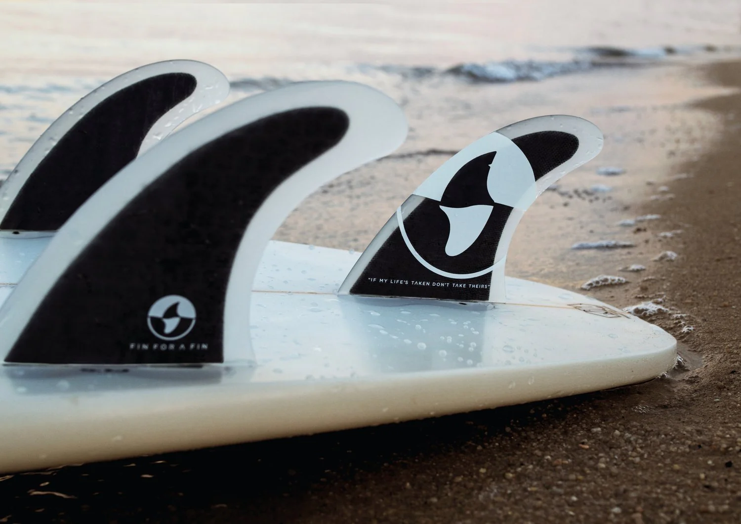 Fin for a Fin – Shark Conservation Surfboard Fin - Image 7