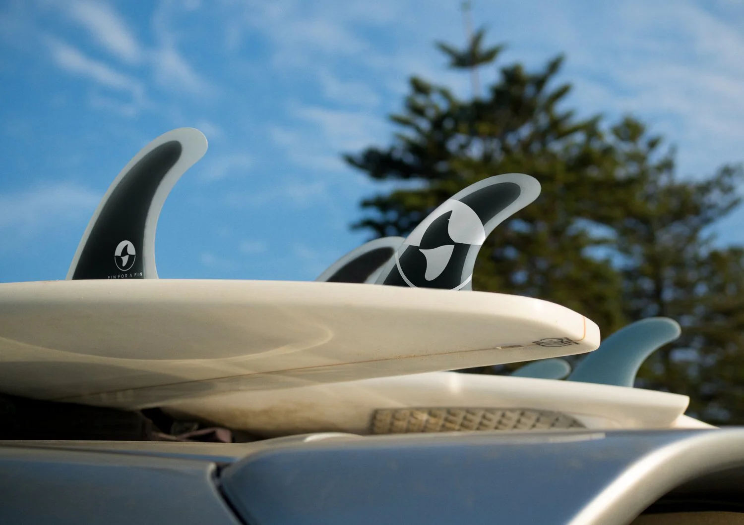 Fin for a Fin – Shark Conservation Surfboard Fin - Image 8